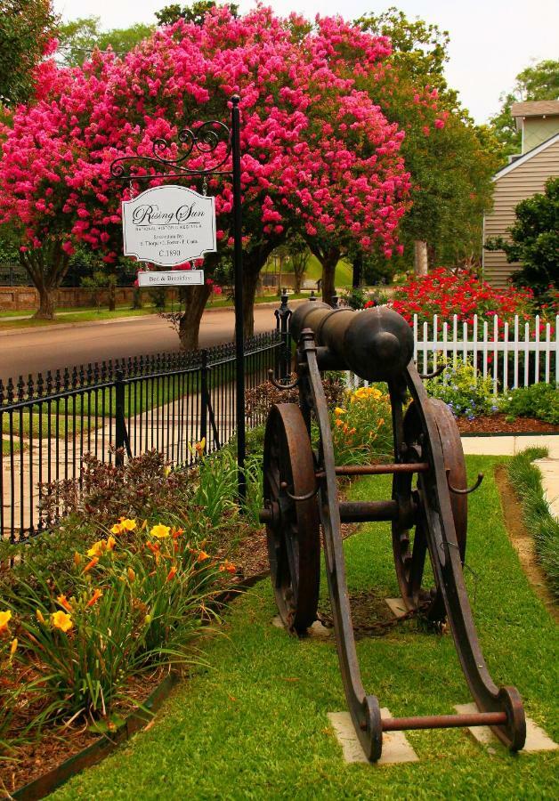 Rising Sun Bed&Breakfast Natchez Extérieur photo